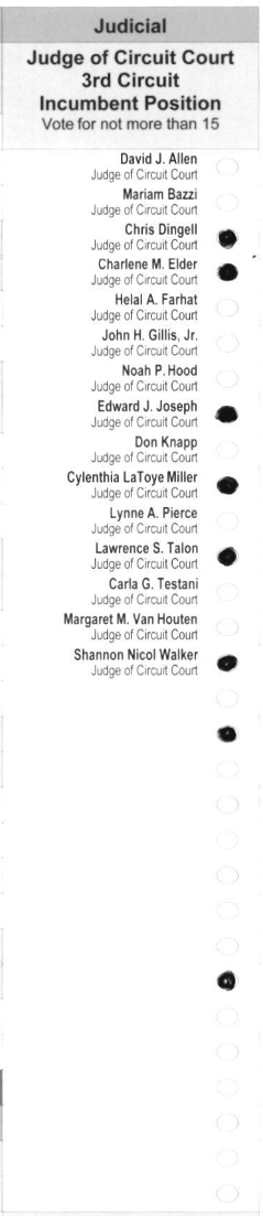 Primary-style BMD ballot example 16